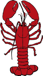 Vector drawing of lobster