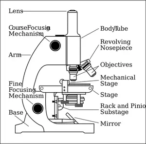Vetor de lado de microscópio com peças rotuladas de desenho
