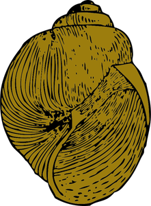 Image vectorielle de coquille d'escargot