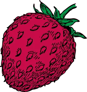 Vektorritning röda jordgubb frukt