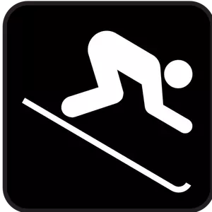 Pictogram for skiing vector image