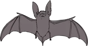 Bat dengan terbuka sayap vektor gambar