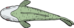 Ugly fish top view vector illustration