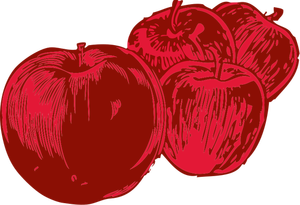 Äpfel-Vektor