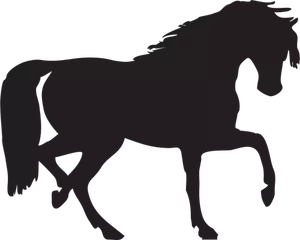 Hevonen siluetti vektori