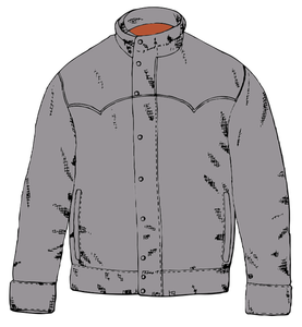Imagen vectorial de chaqueta