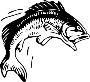 Saut image vectorielle de poisson