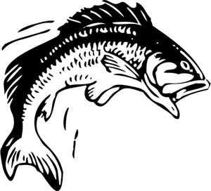 fish vector free