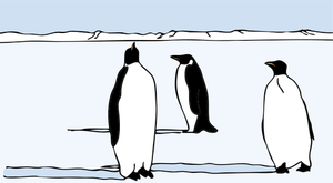 Pinguini vector illustration