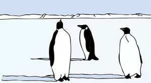 Pingviner vektor illustrasjon