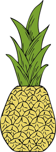 Vector drawing of pineapple