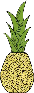 Vektortegning av ananas