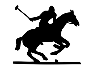 Vector illustration of polo player
