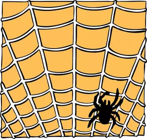 Vector drawing of spider on a spider web