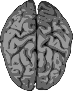 Wektor Rozmazany obraz ludzkiego mózgu