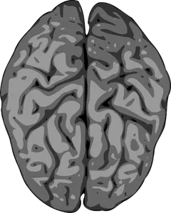 Image vector floue du cerveau humain