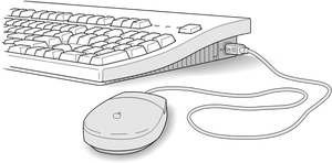 Vector illustration of keyboard Apple mouse