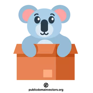 Koala i en boks