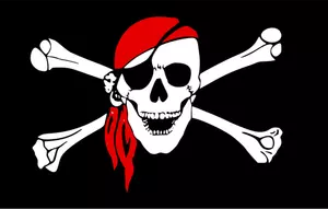 Vector graphics of black pirate flag with smiling skull and bones