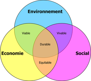 Diagrama del vector de desarrollo duradero