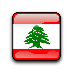 Drapeau libanais vecteur à l'intérieur du bouton web
