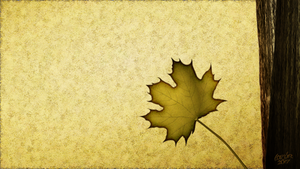 Leaf and tree vector image