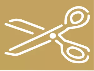 A pair of scissors vector icon