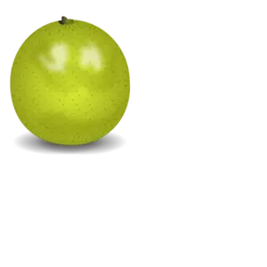 Lime vector image