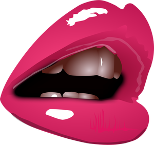 Bibir wanita dengan lipstik menutup gambar vektor