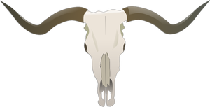 Longhorn kafatası vektör görüntü
