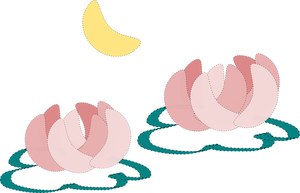 Water lily and moon