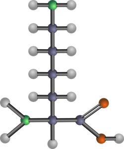 Lysin aminosyre