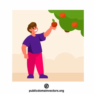 L'uomo sta raccogliendo una mela