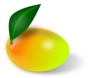 Mango frukt
