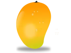 Mango hedelmä vektori kuva