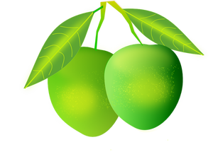 Grafika wektorowa mango