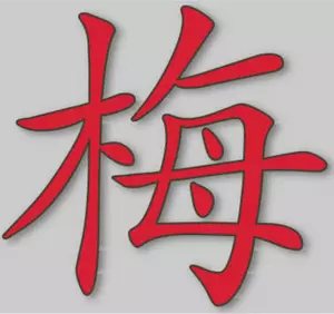 Vektori kuva mei kiinalainen merkki