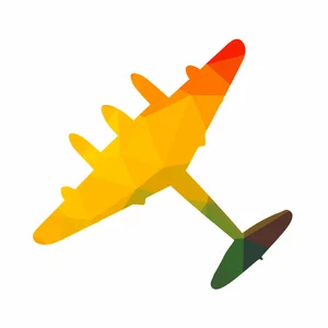 Militaire vliegtuig kleur silhouet