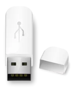 USB błysk przejażdżka ikona wektorowa