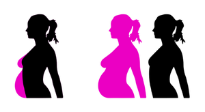 Vettoriale silhouette gravidanza