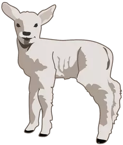 Young lamb vector art