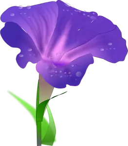 Vektori ClipArt orchis