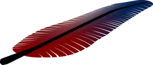 Ilustrasi vektor miring bulu merah dan biru
