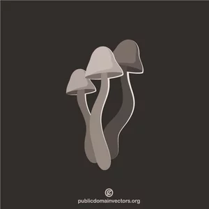 Toadstool fungus