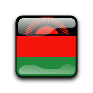 Malawi flag vector