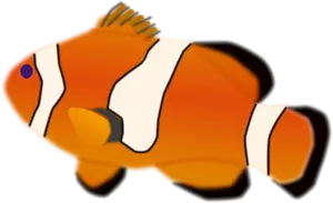 Amphiprion percula fisk vektor illustrasjon