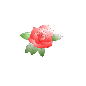Colored rose with leaves