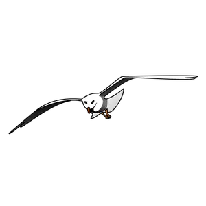 Drawing of flying Laughing gull