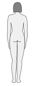 Vettore di sagoma del corpo femminile