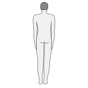 Male body silhouette vector clip art